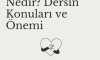 Fen Bilimleri Nedir? Dersin Konuları ve Önemi